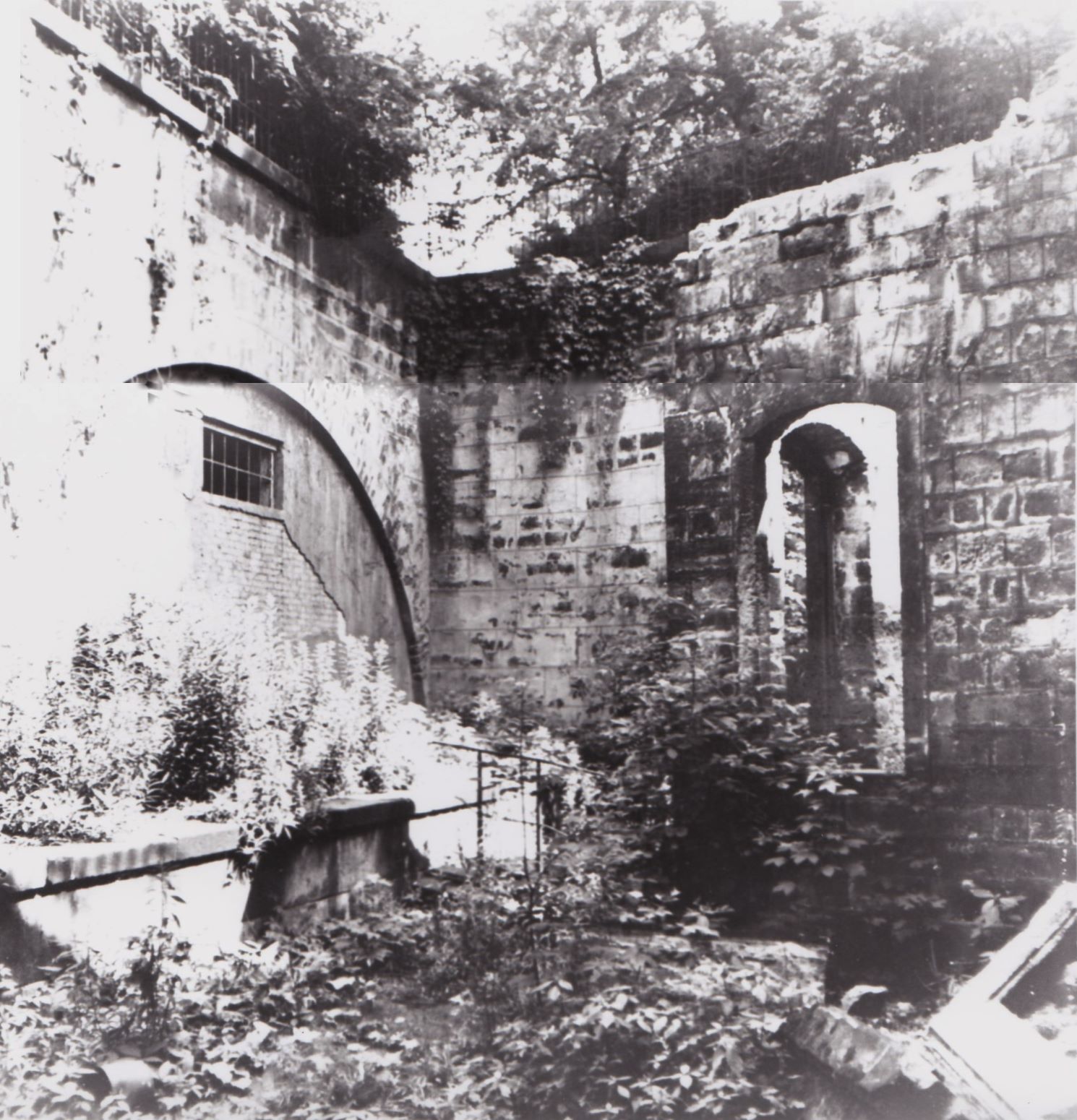 Bärenzwinger 1965