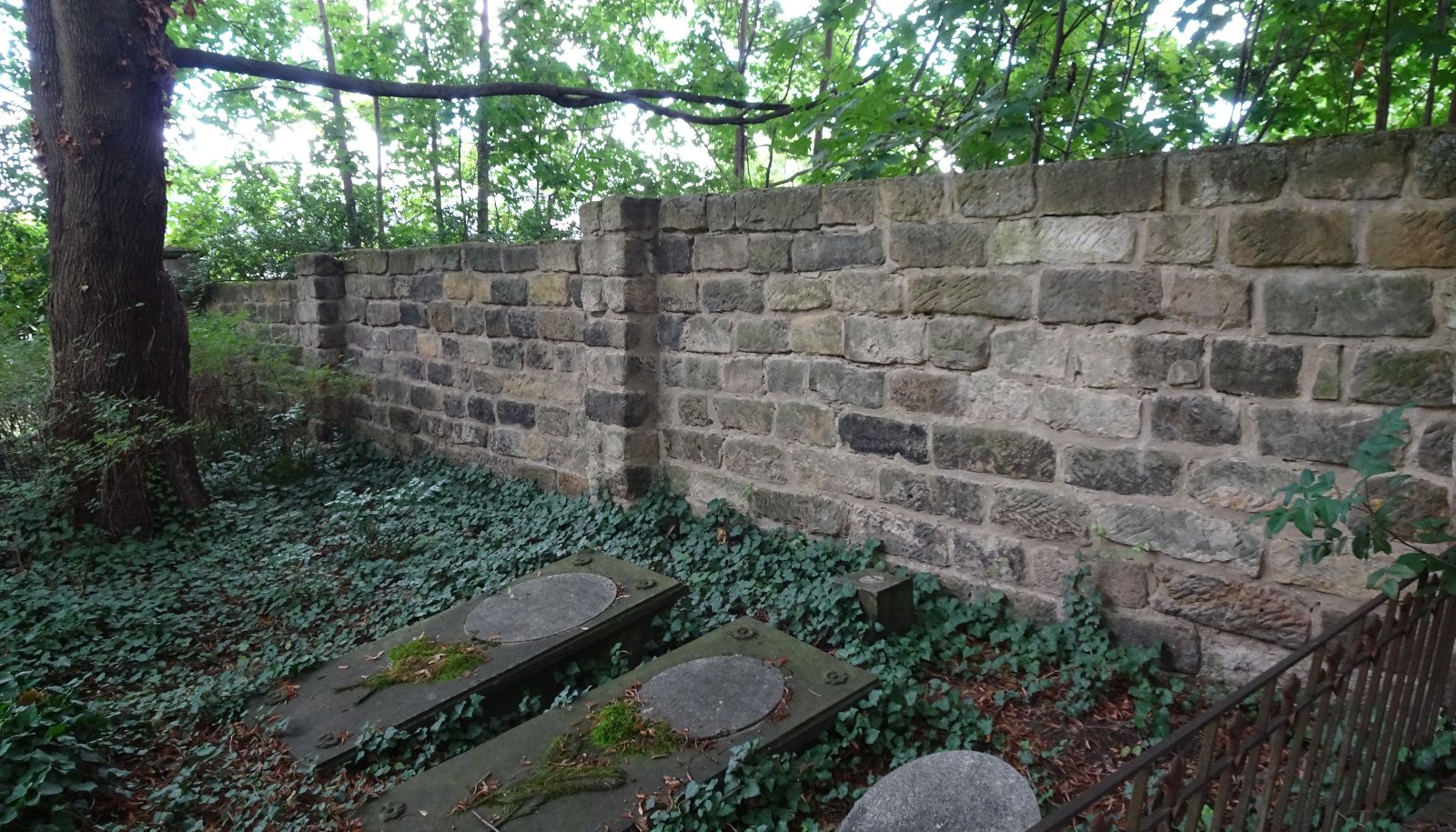 Trinitatisfriedhof 2023 &ndash; Blick auf ein St&uuml;ck der &ouml;stlichen Friedhofsmauer
